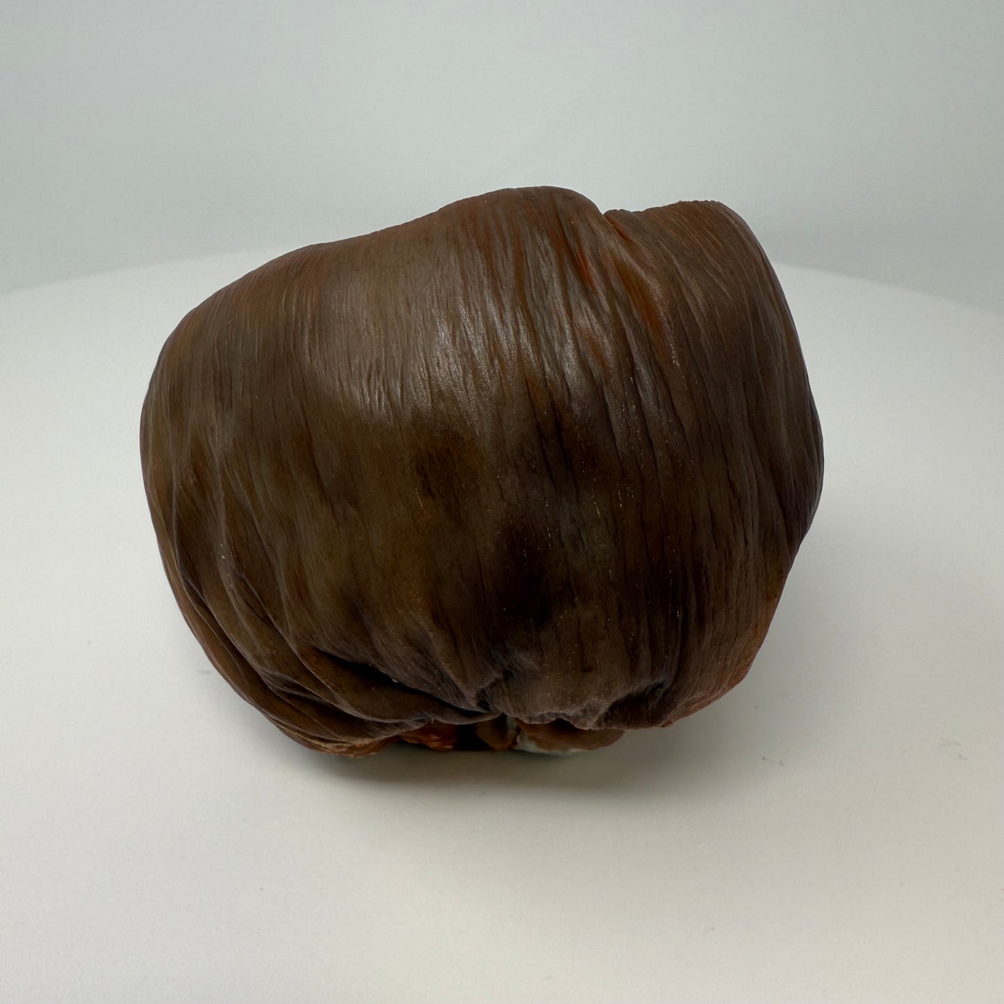Borassus Pod