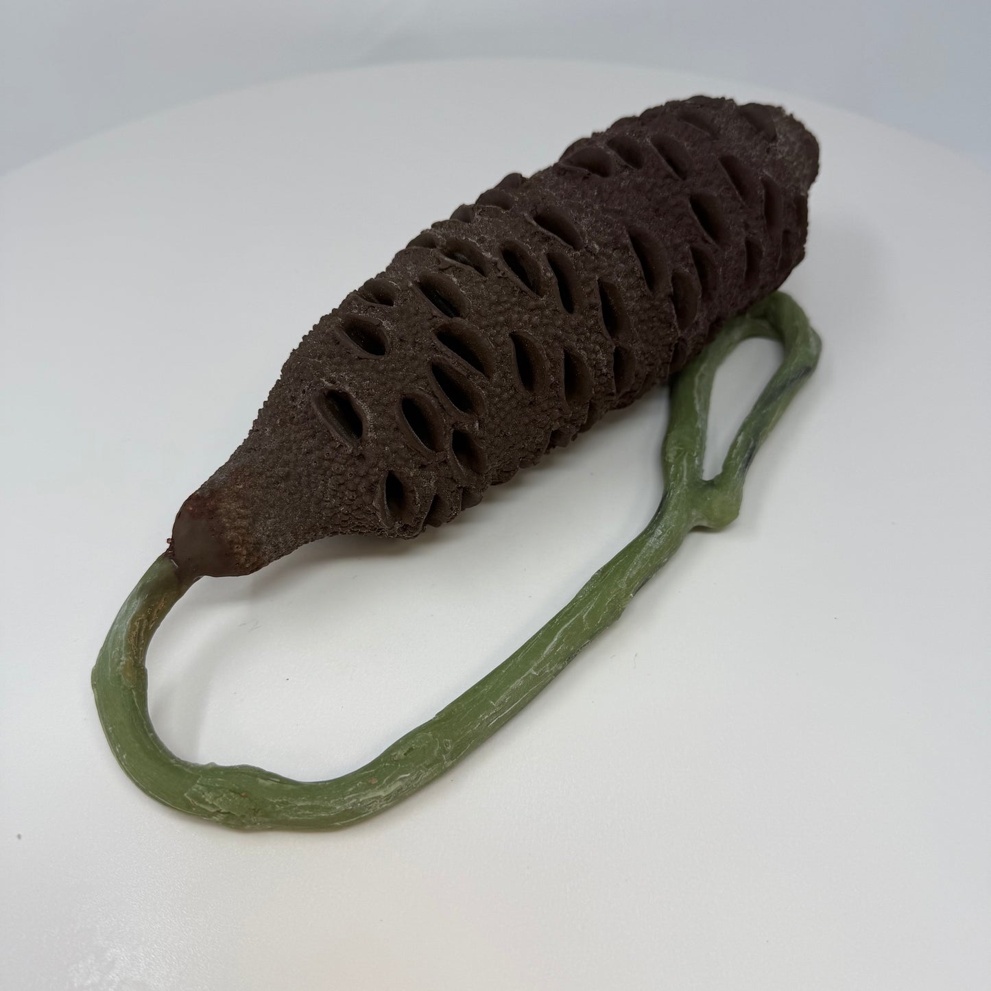 Banksia Pod