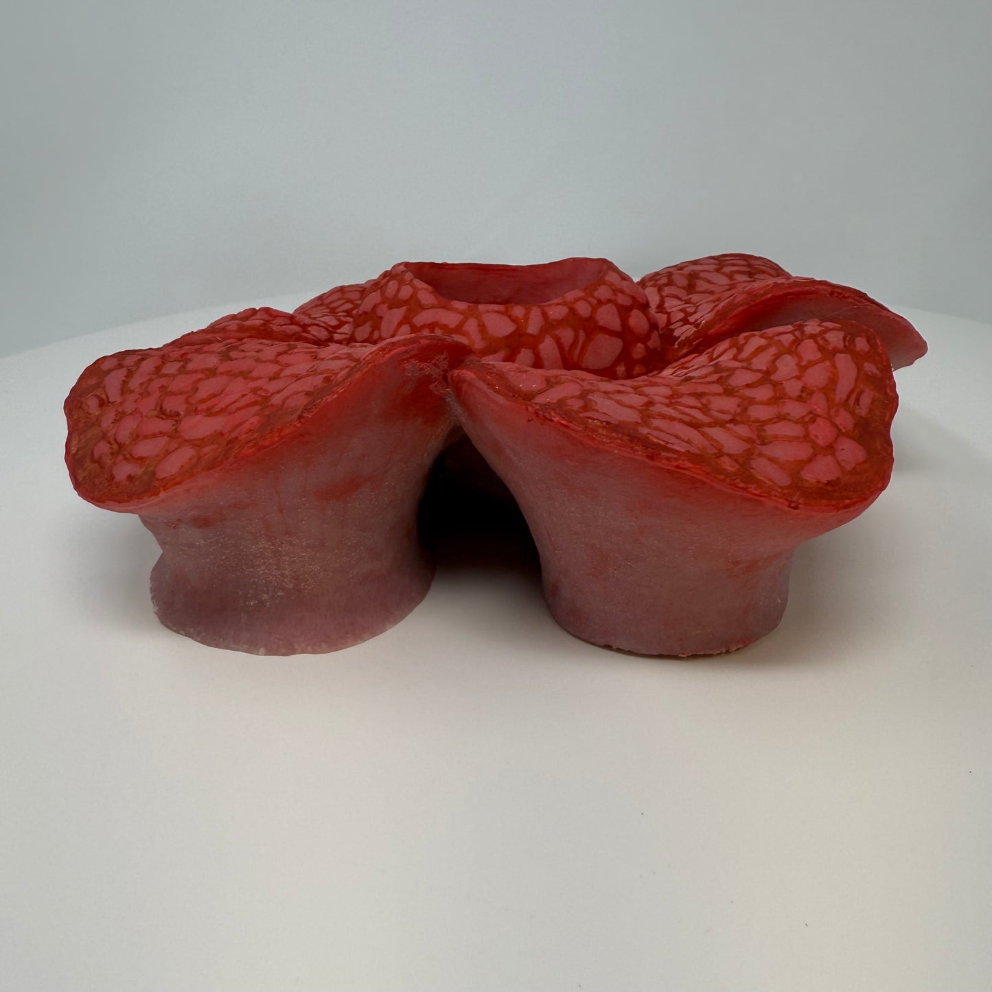 Rafflesia Flower Dish