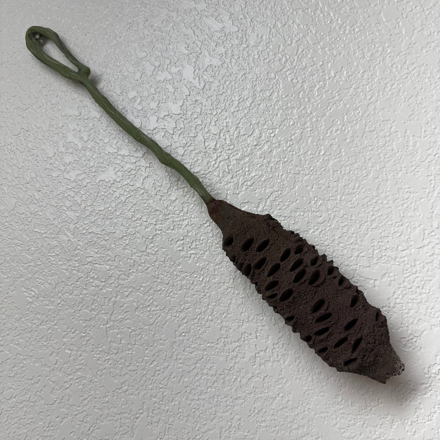Banksia Pod
