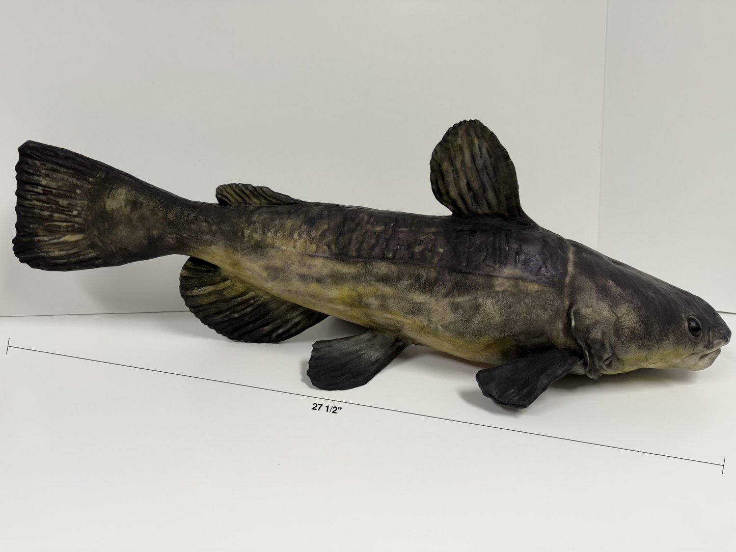 Floating Catfish Carcass Feeder