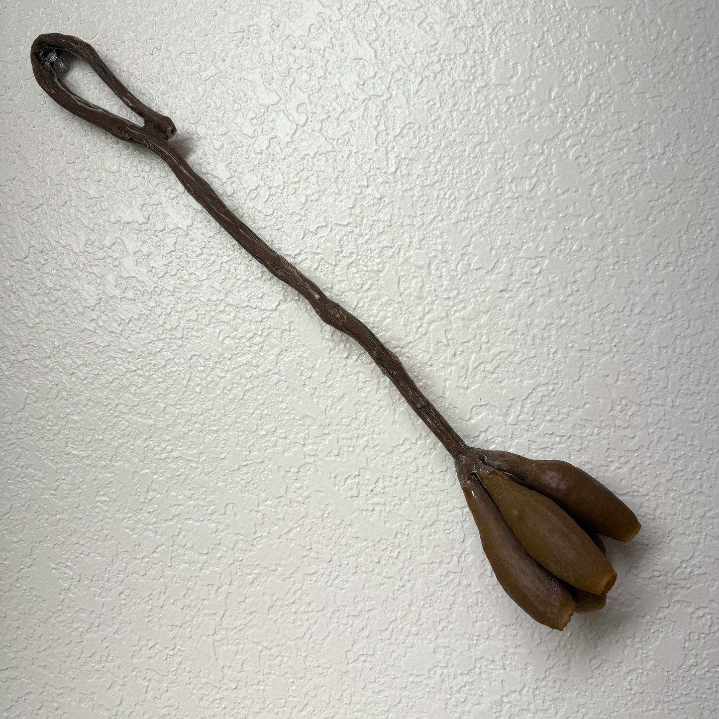 Trumpet Pod Hanging Feeder