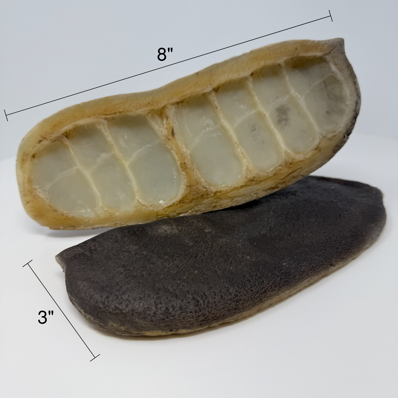 Mahogany Pods (2-piece set)