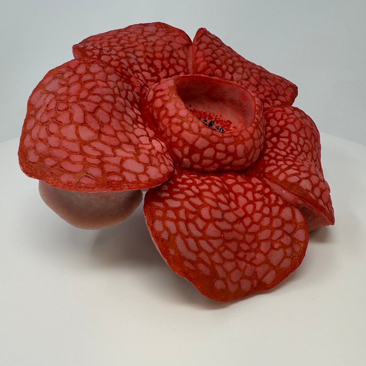 Rafflesia Flower Dish