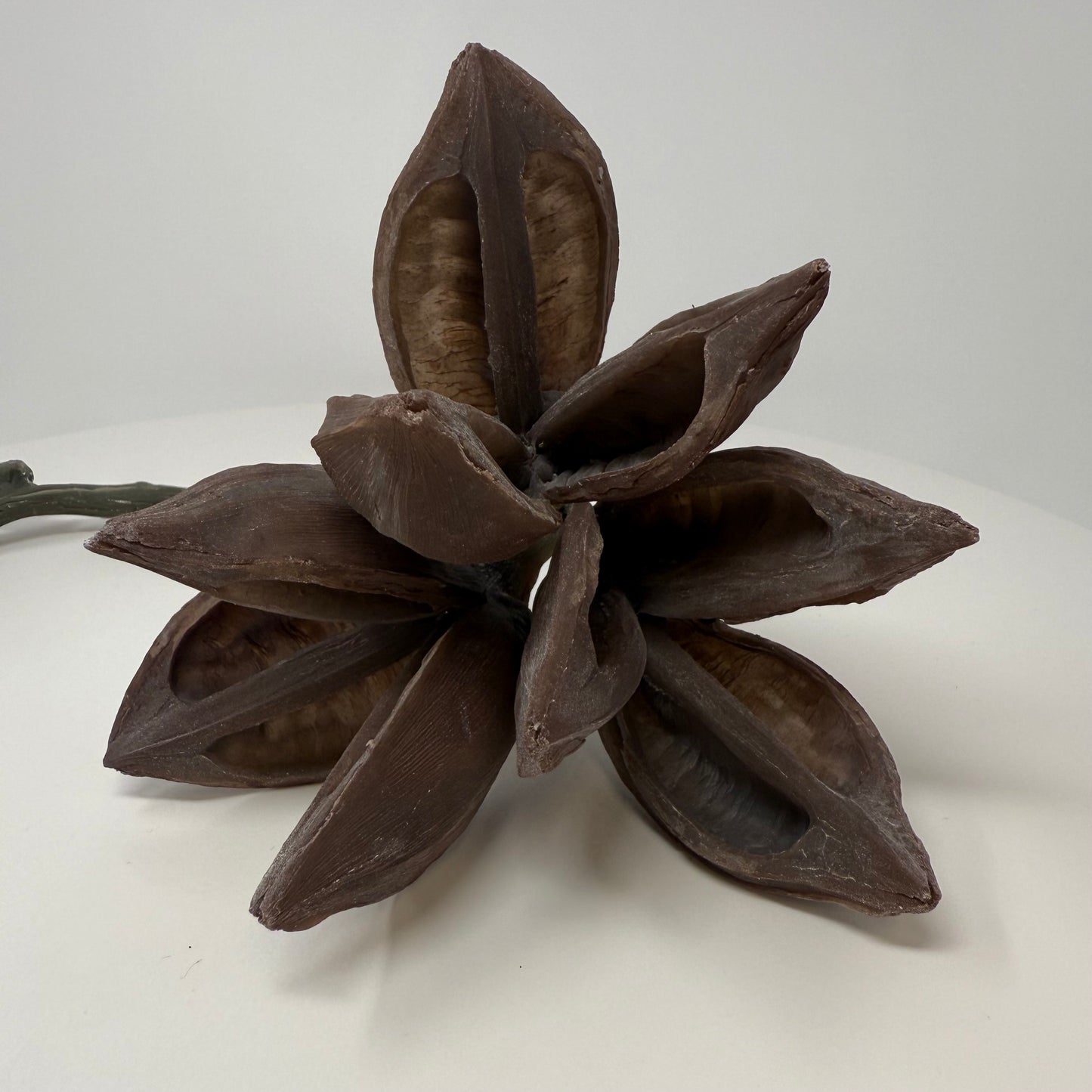Sora Pod Hanging Feeder
