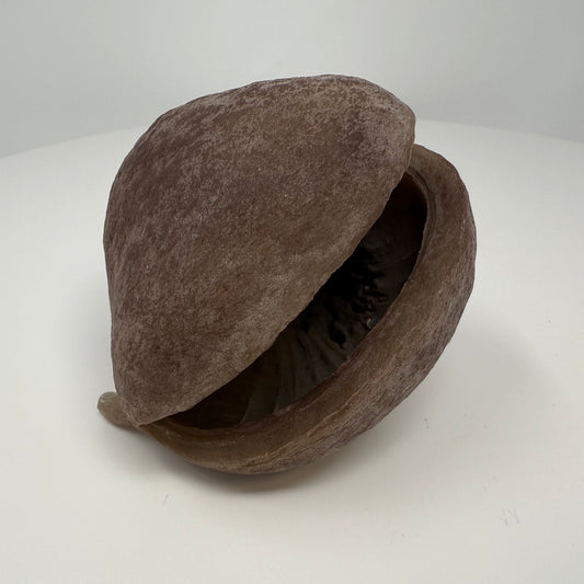 Buddha Pod
