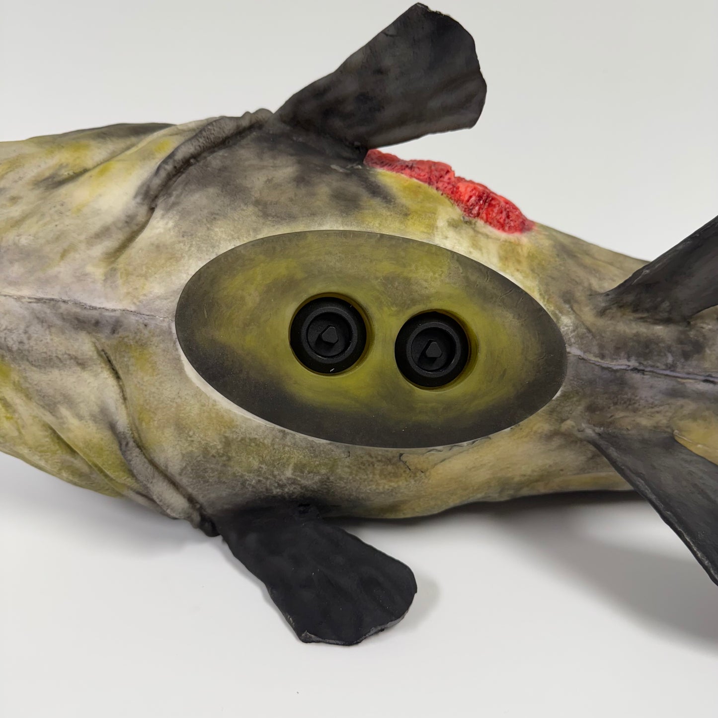 Floating Catfish Carcass Feeder