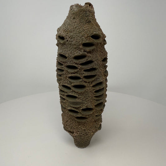 Banksia Pod