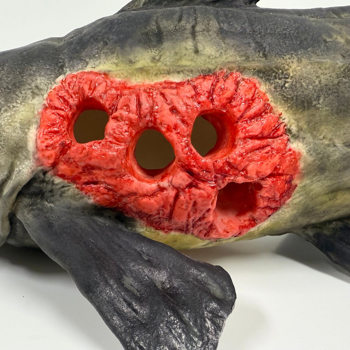 Floating Catfish Carcass Feeder
