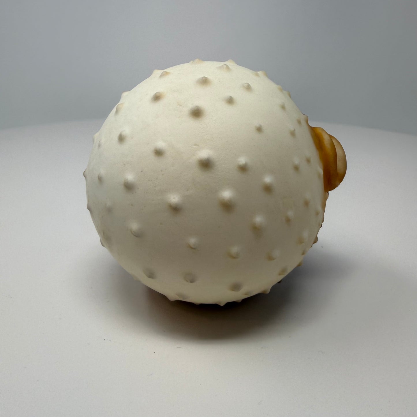 Floating Puffer Ball (Small)