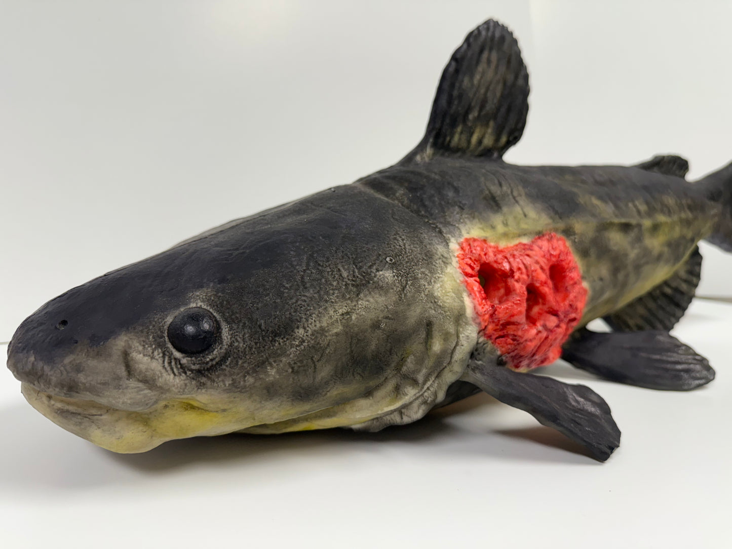 Floating Catfish Carcass Feeder