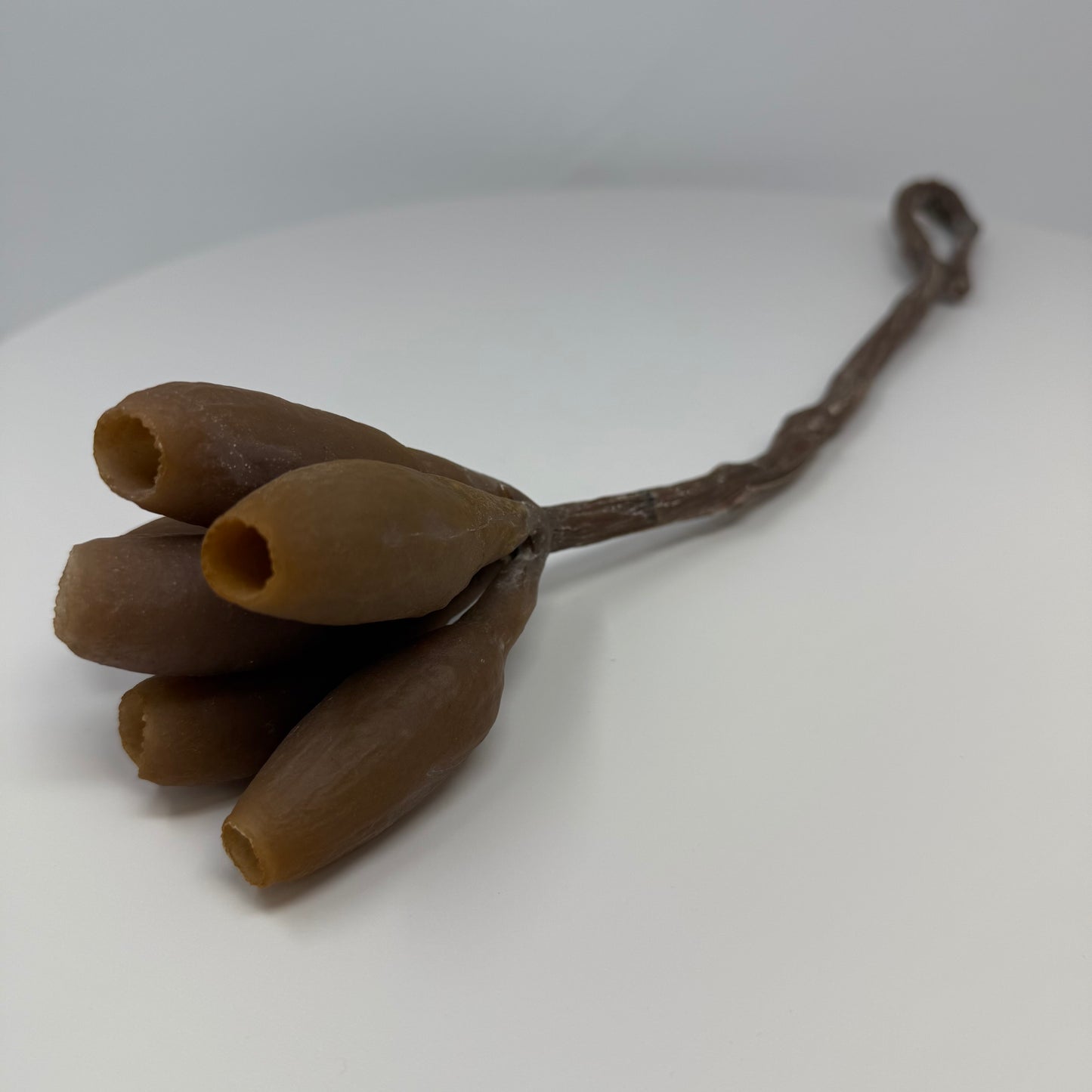 Trumpet Pod Hanging Feeder