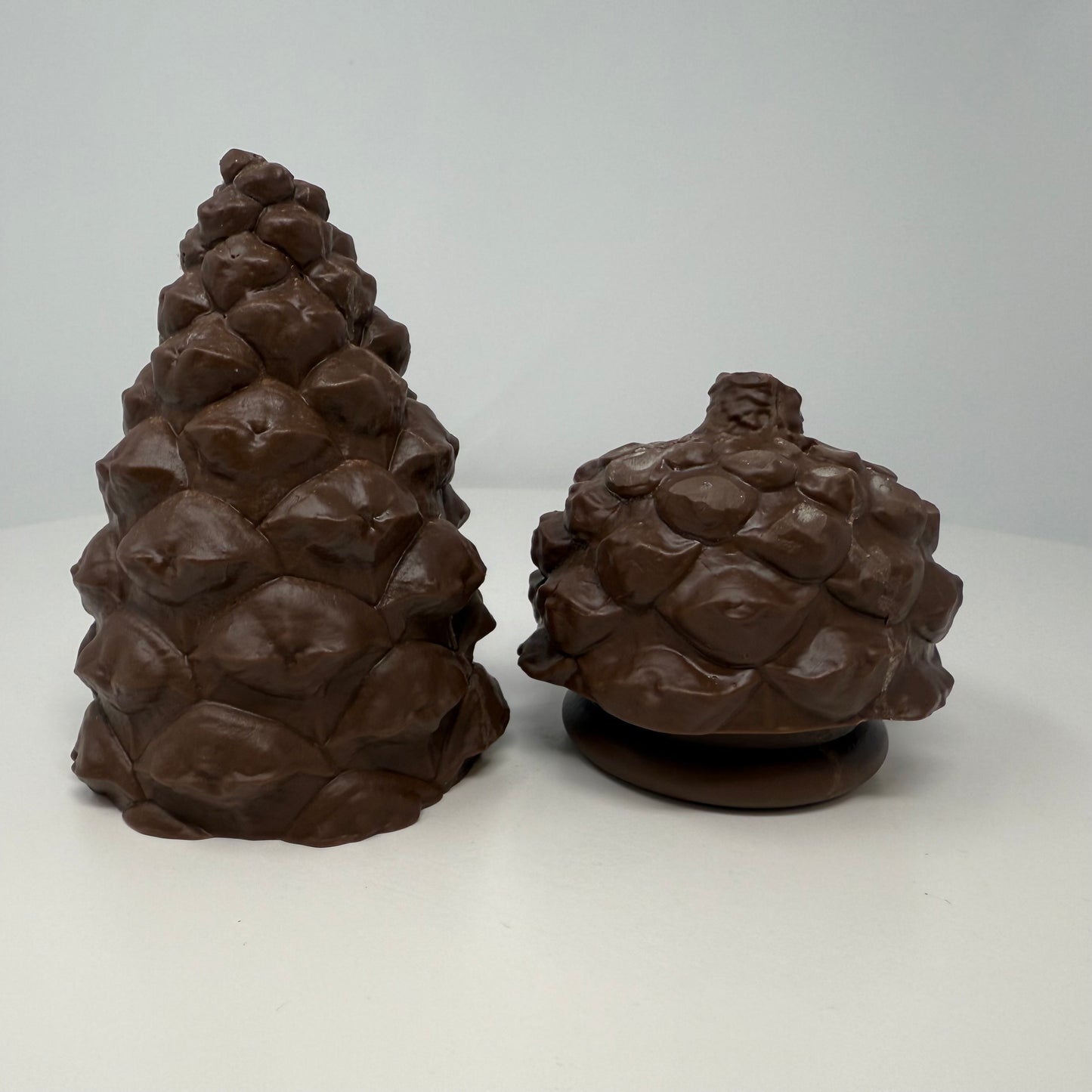 Pinecone Container