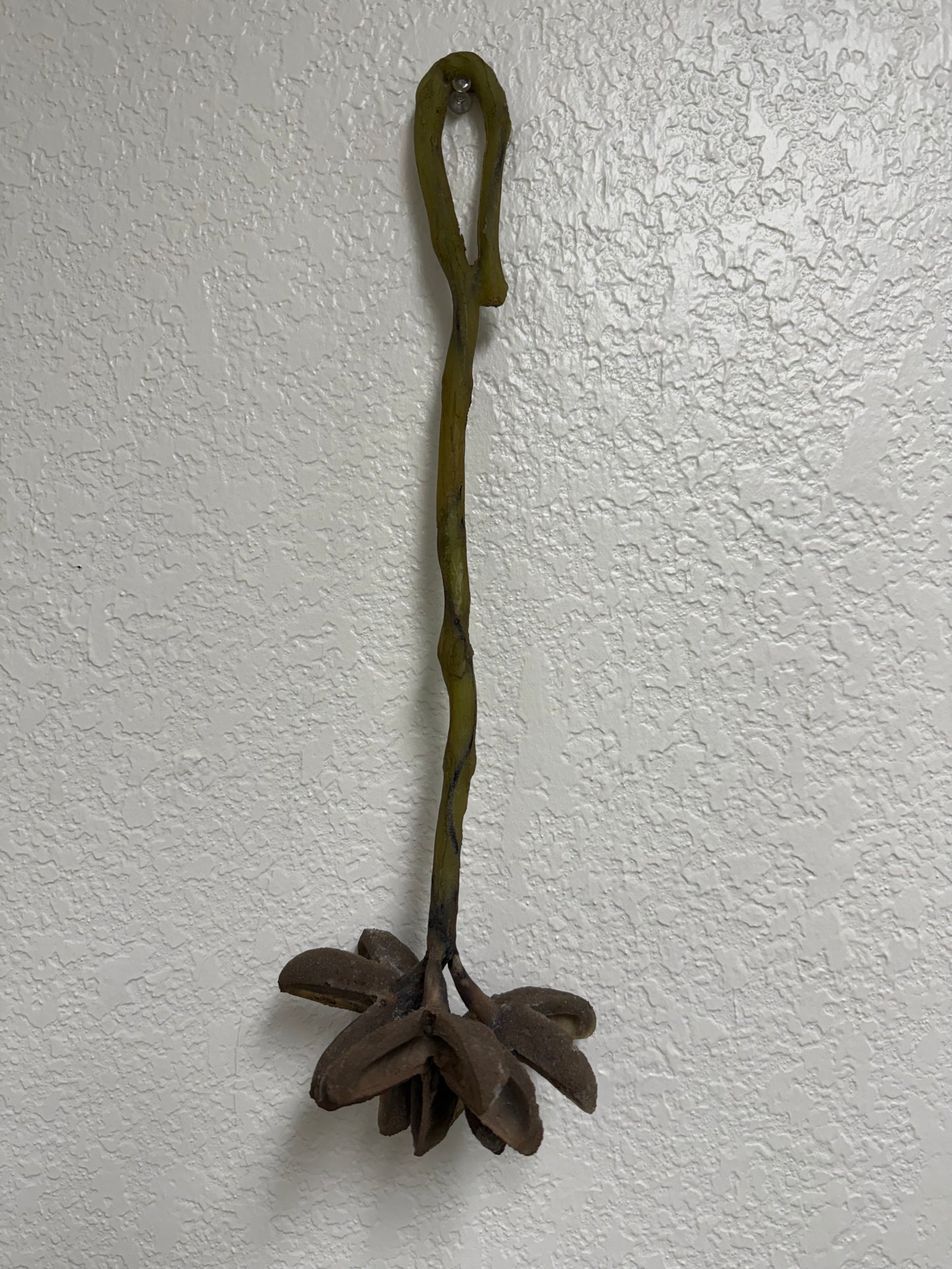 Star Pod Hanging Feeder (Medium)