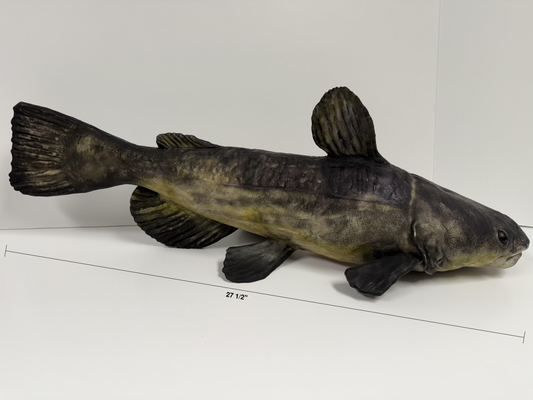 Floating Catfish Carcass Feeder
