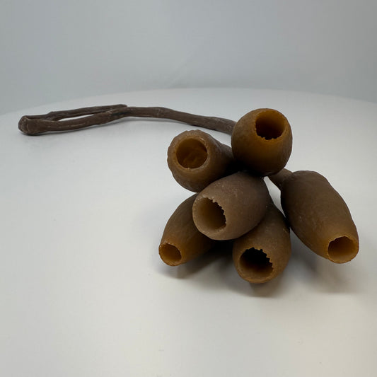 Trumpet Pod Hanging Feeder
