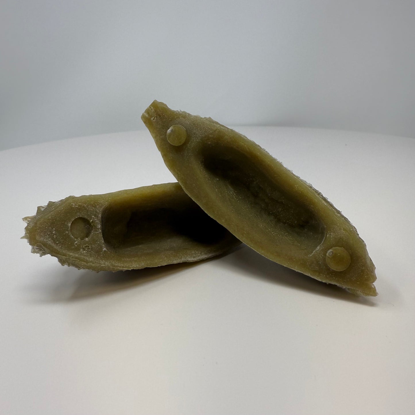 Zeyheria Pod