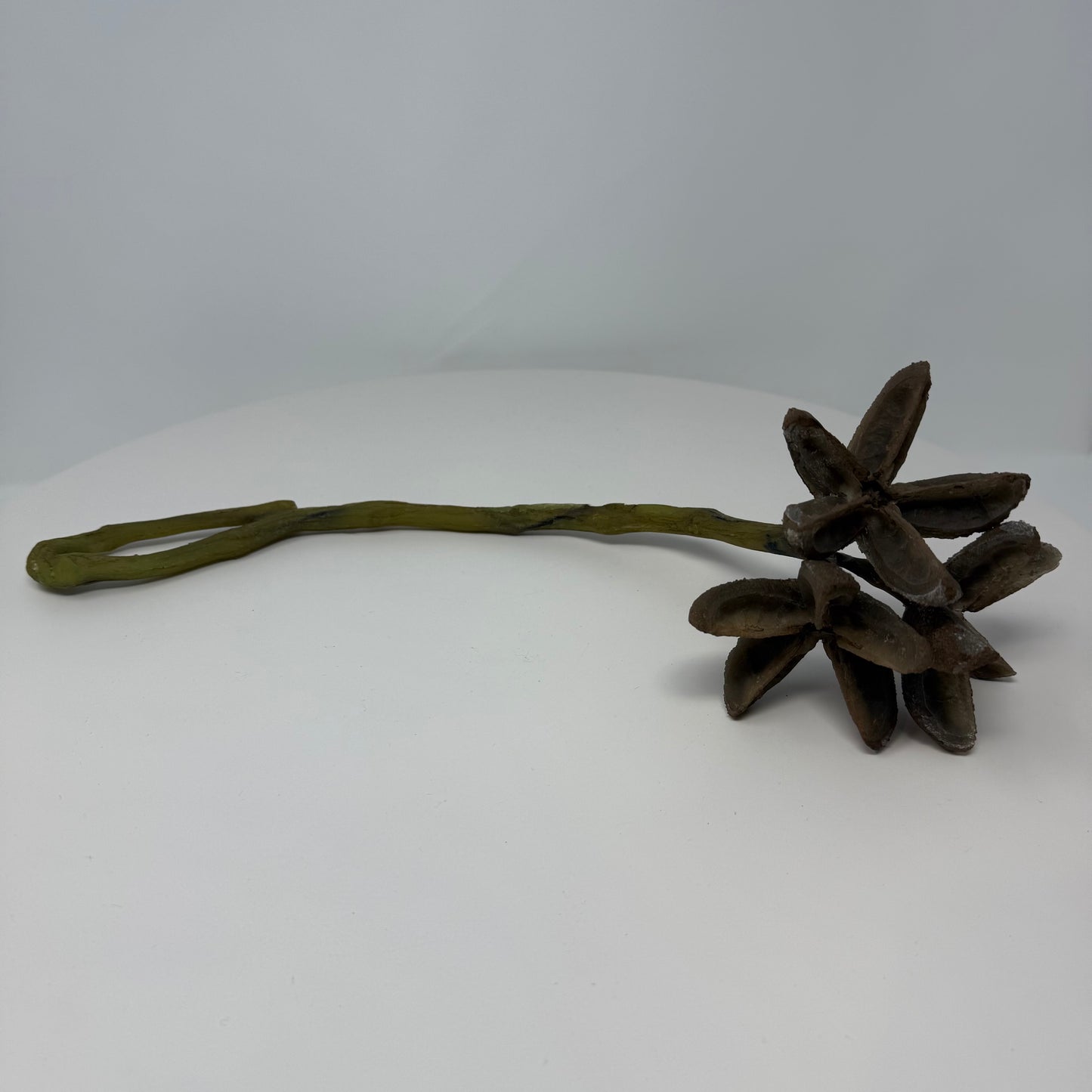 Star Pod Hanging Feeder (Medium)