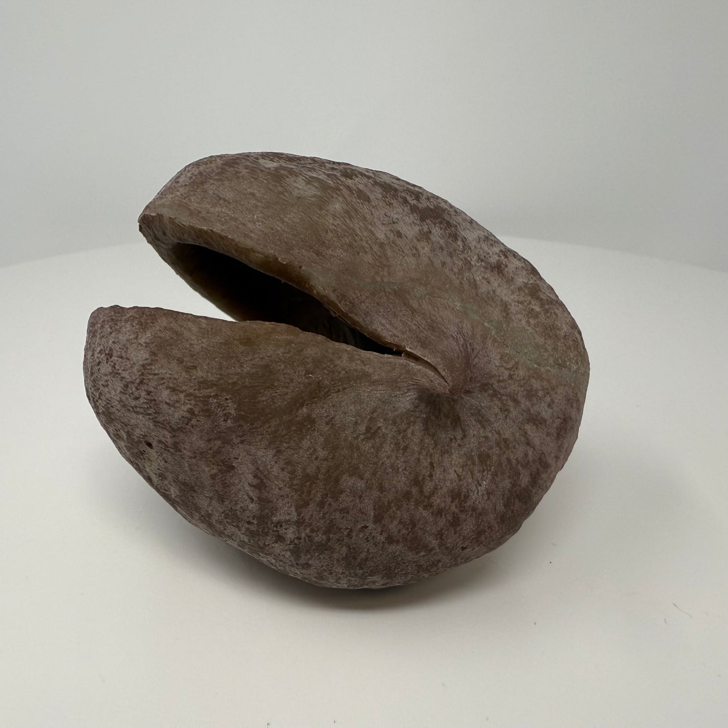 Buddha Pod