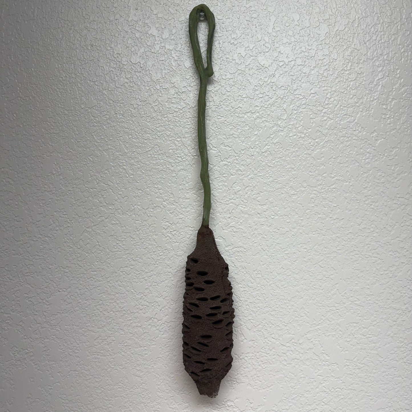 Banksia Pod