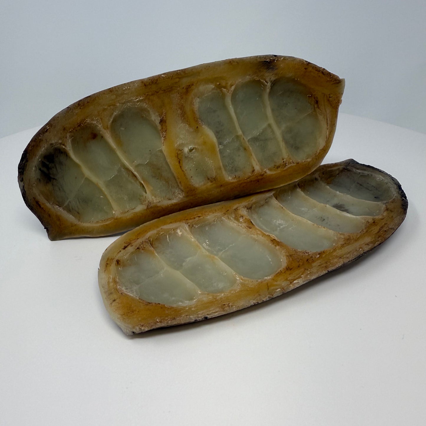 Mahogany Pods (2-piece set)