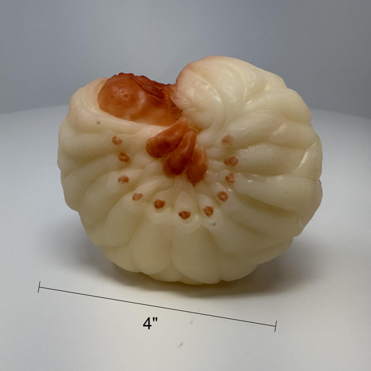 Grub Worm Pocket Feeder