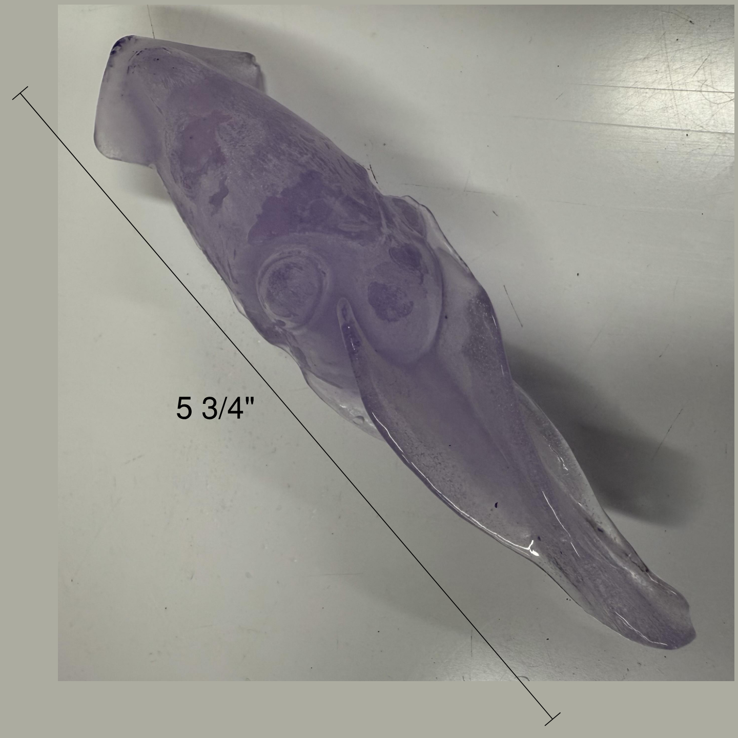 Squid Frozen Treat Mold