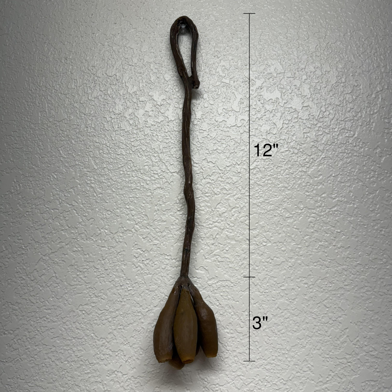 Trumpet Pod Hanging Feeder